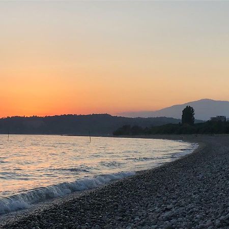 Solnechny Bereg Guest House Gudauta Dış mekan fotoğraf