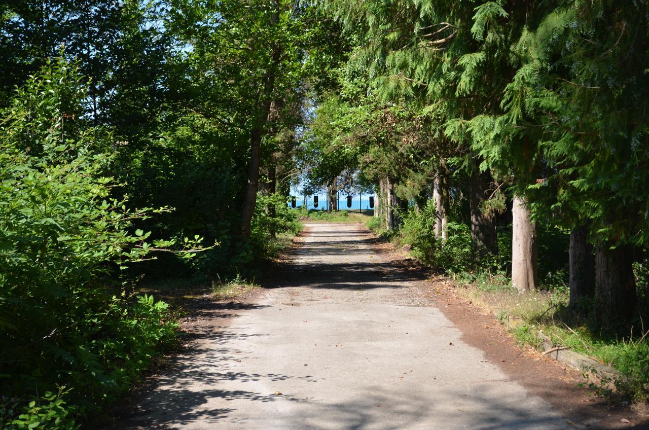 Solnechny Bereg Guest House Gudauta Dış mekan fotoğraf