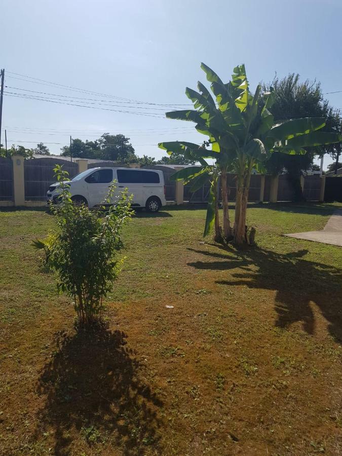Solnechny Bereg Guest House Gudauta Dış mekan fotoğraf