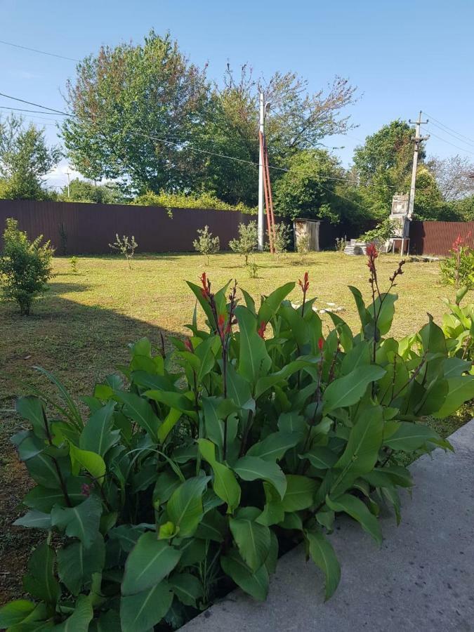 Solnechny Bereg Guest House Gudauta Dış mekan fotoğraf
