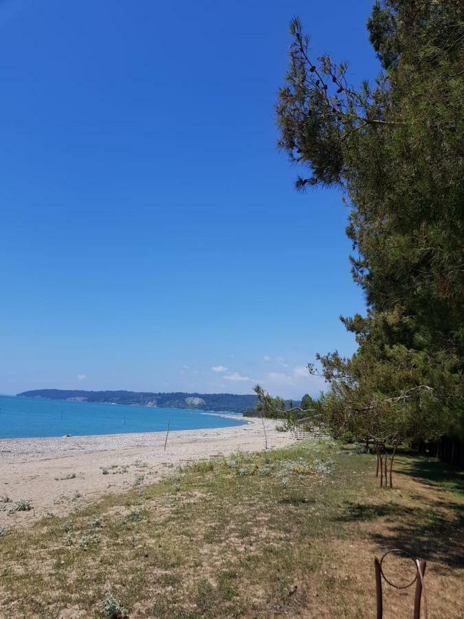 Solnechny Bereg Guest House Gudauta Dış mekan fotoğraf