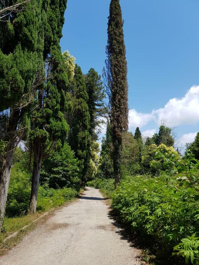 Solnechny Bereg Guest House Gudauta Dış mekan fotoğraf