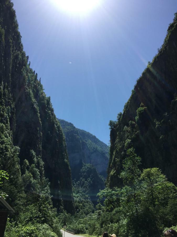 Solnechny Bereg Guest House Gudauta Dış mekan fotoğraf