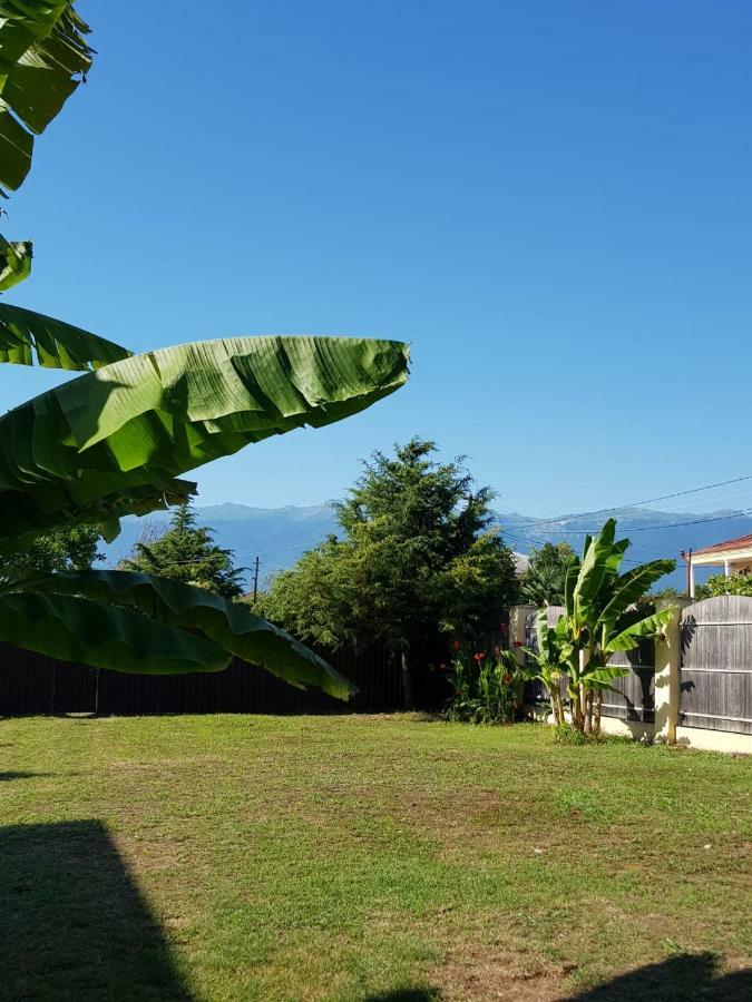 Solnechny Bereg Guest House Gudauta Dış mekan fotoğraf