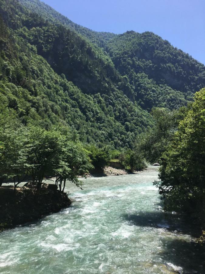 Solnechny Bereg Guest House Gudauta Dış mekan fotoğraf